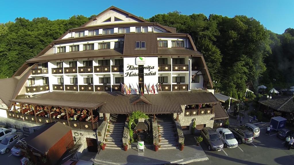 Hotel Fantanita Haiducului Bradu  Luaran gambar