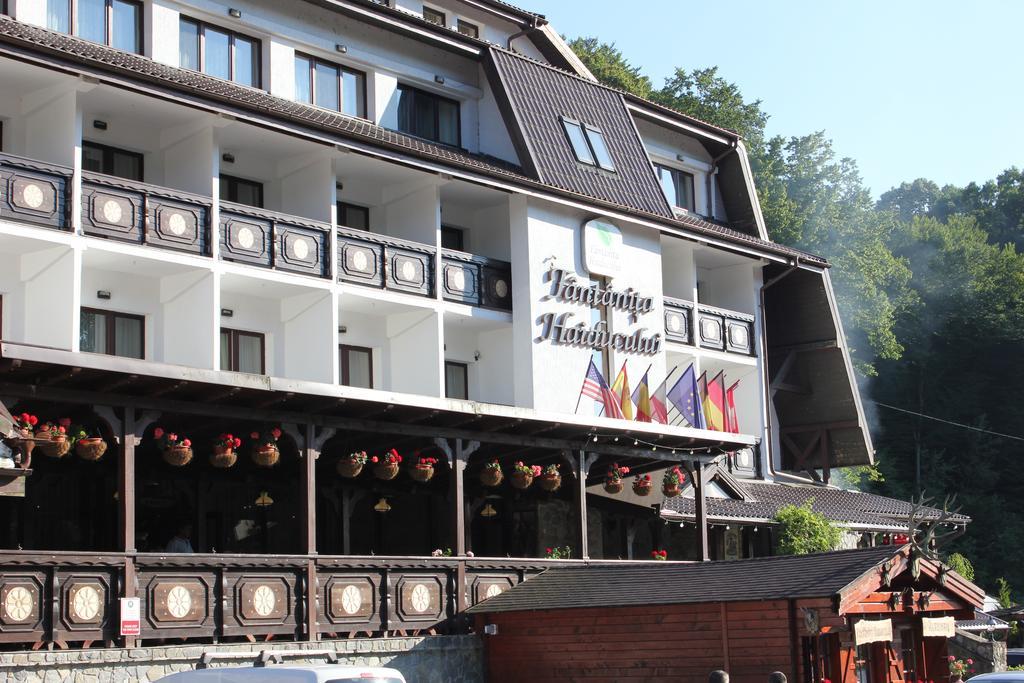 Hotel Fantanita Haiducului Bradu  Luaran gambar