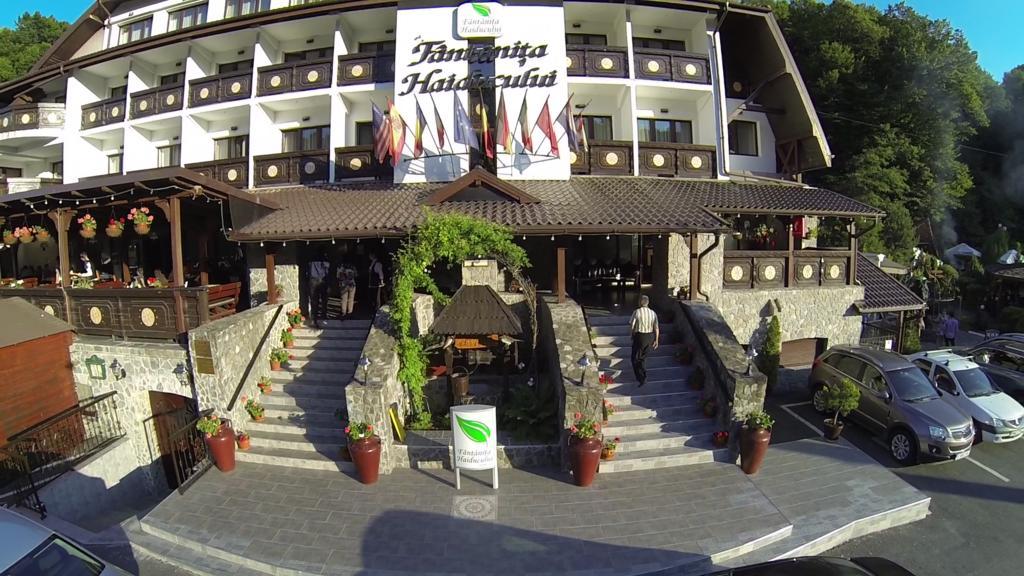 Hotel Fantanita Haiducului Bradu  Luaran gambar